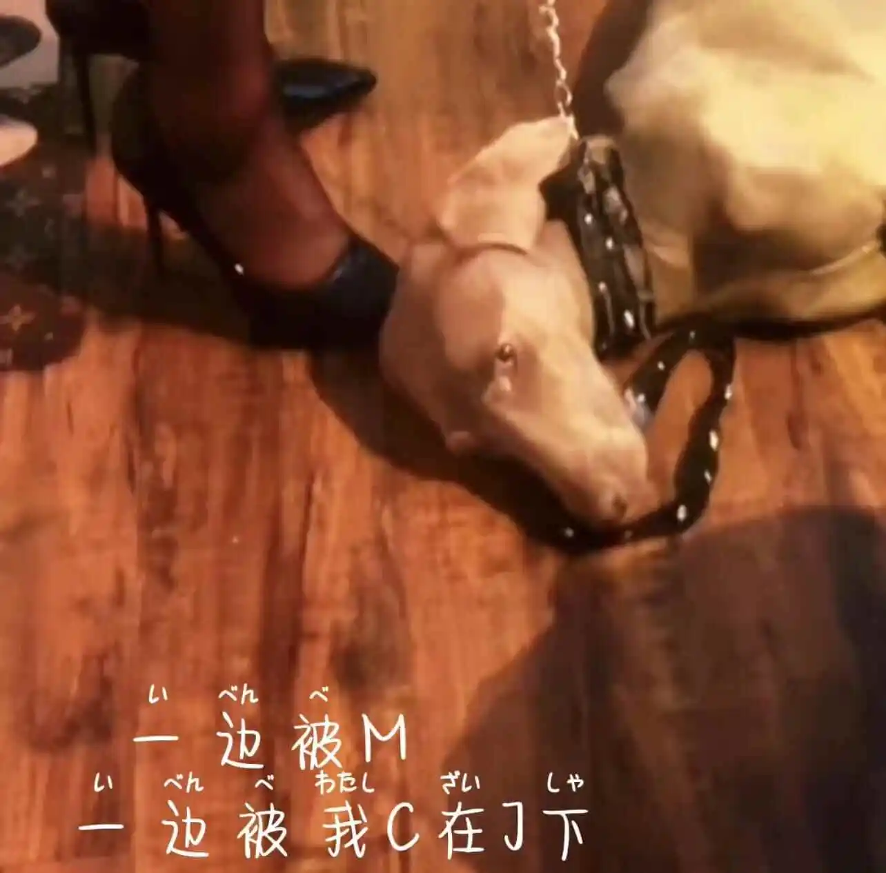 西檬之家字母圈的CD是什么意思? 一