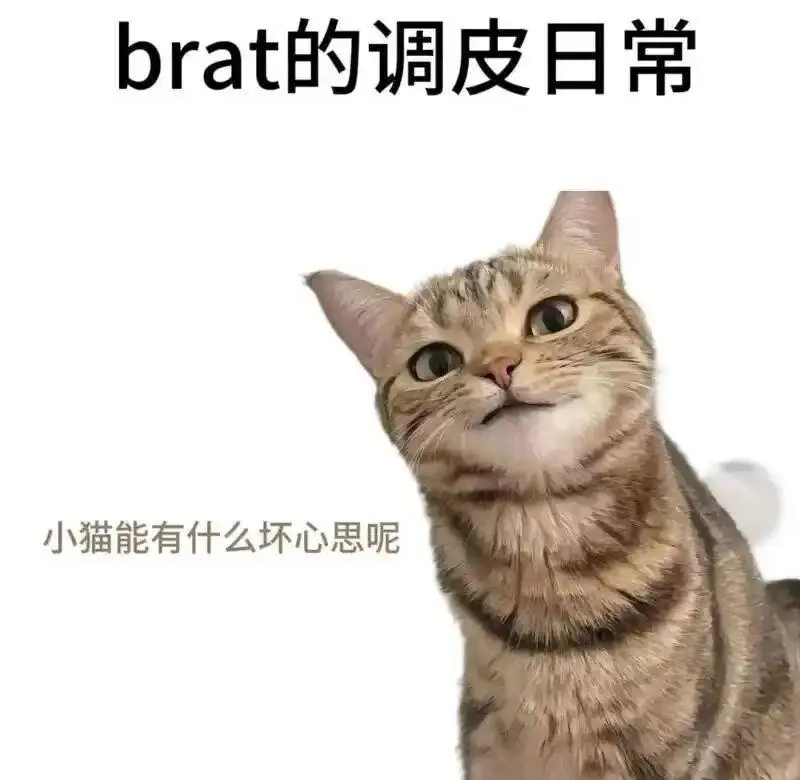 西檬之家s倾向是什么?你倾向于dom角色吗 一