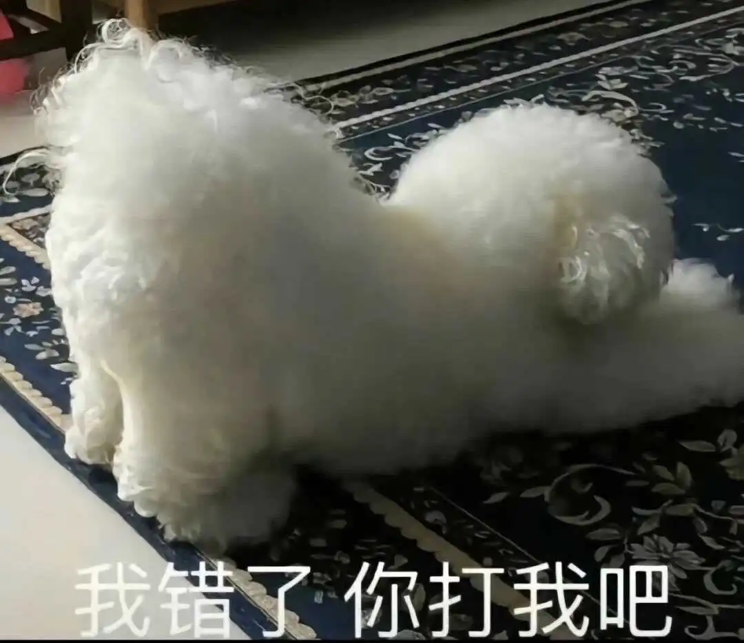 西檬之家恋足癖入门指南 一
