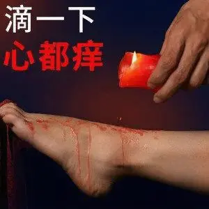 西檬之家字母圈的k9是什么? 一