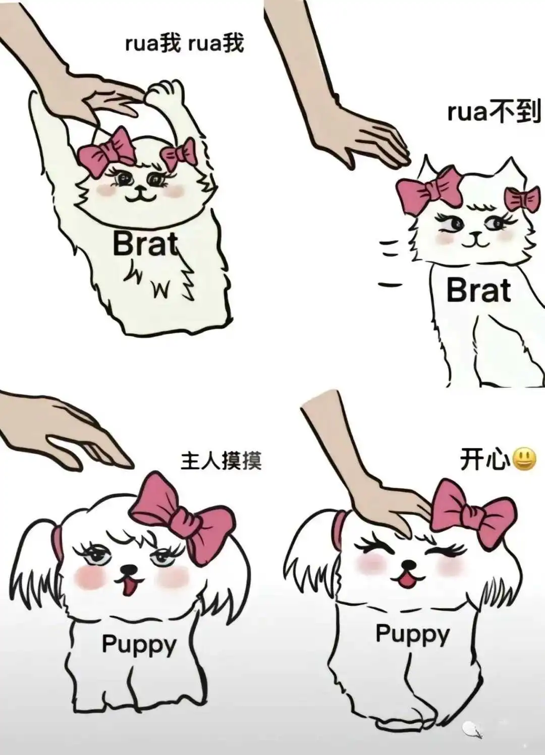 西檬之家字母圈SM是什么意思? 一