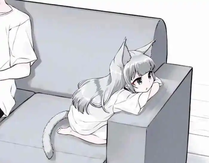 西檬之家k9是什么?你的属性倾向是什么? 一
