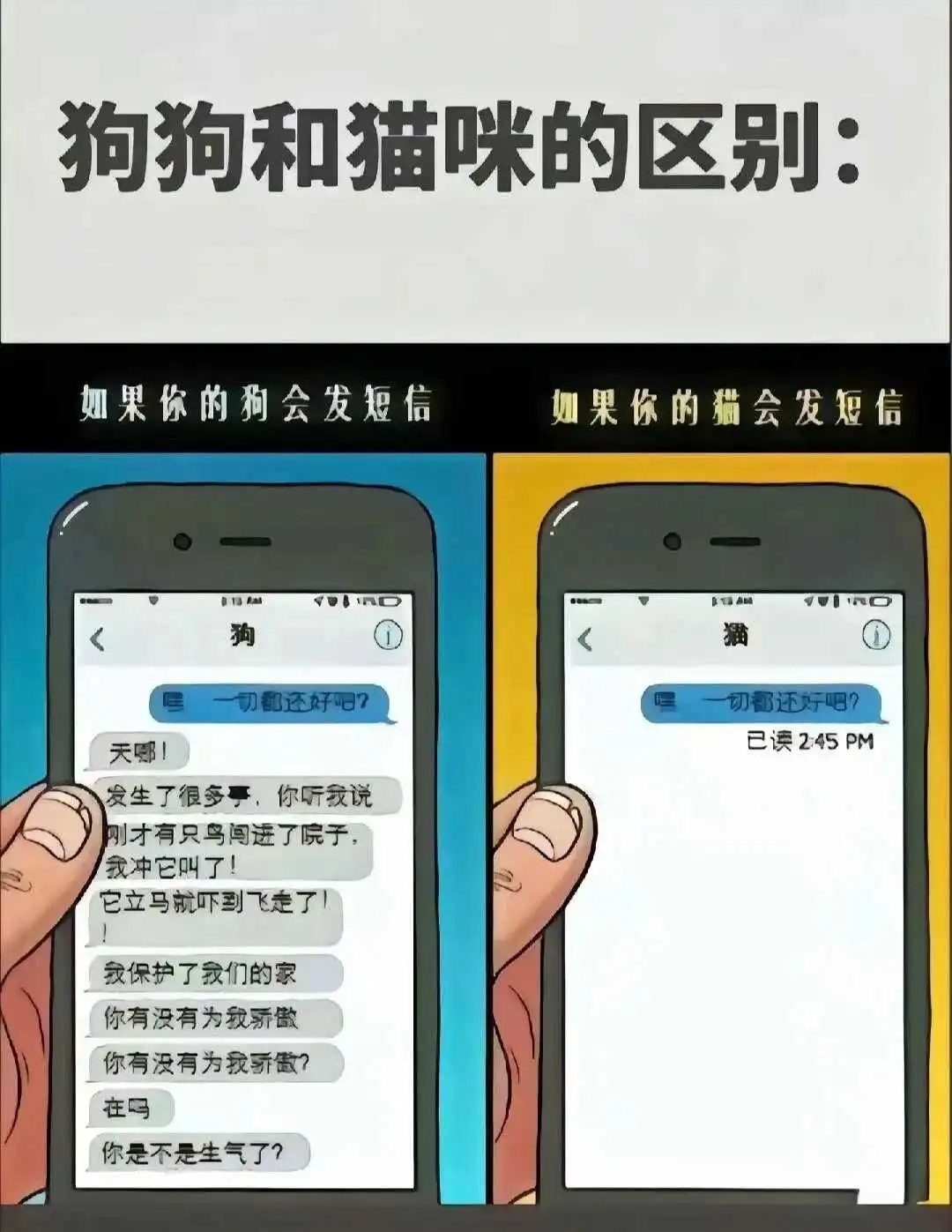 西檬之家字母圈brat属性是什么? 一