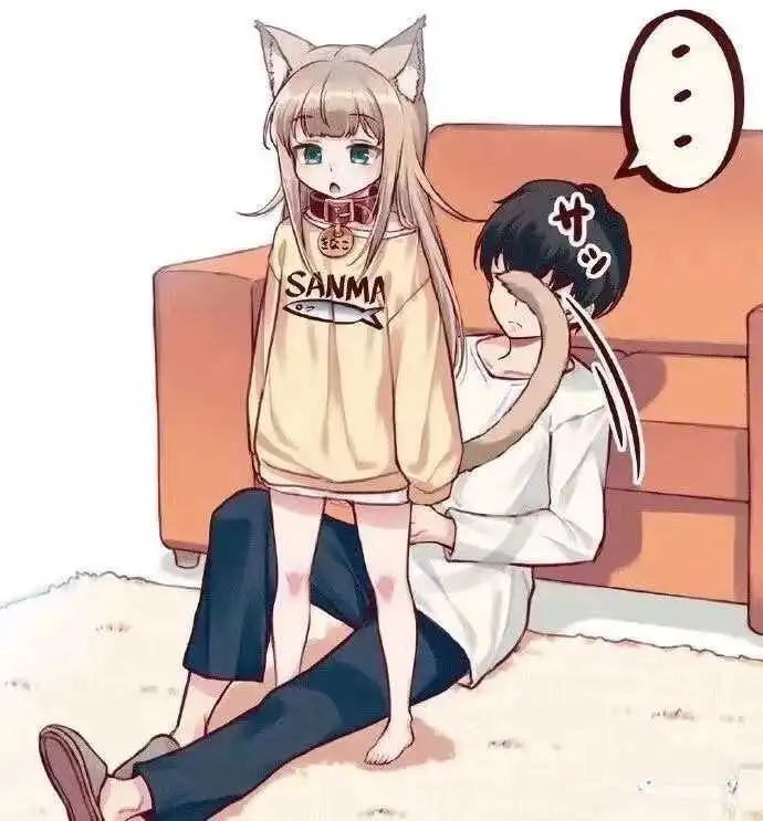 西檬之家字母圈k8猫系是什么意思? 一