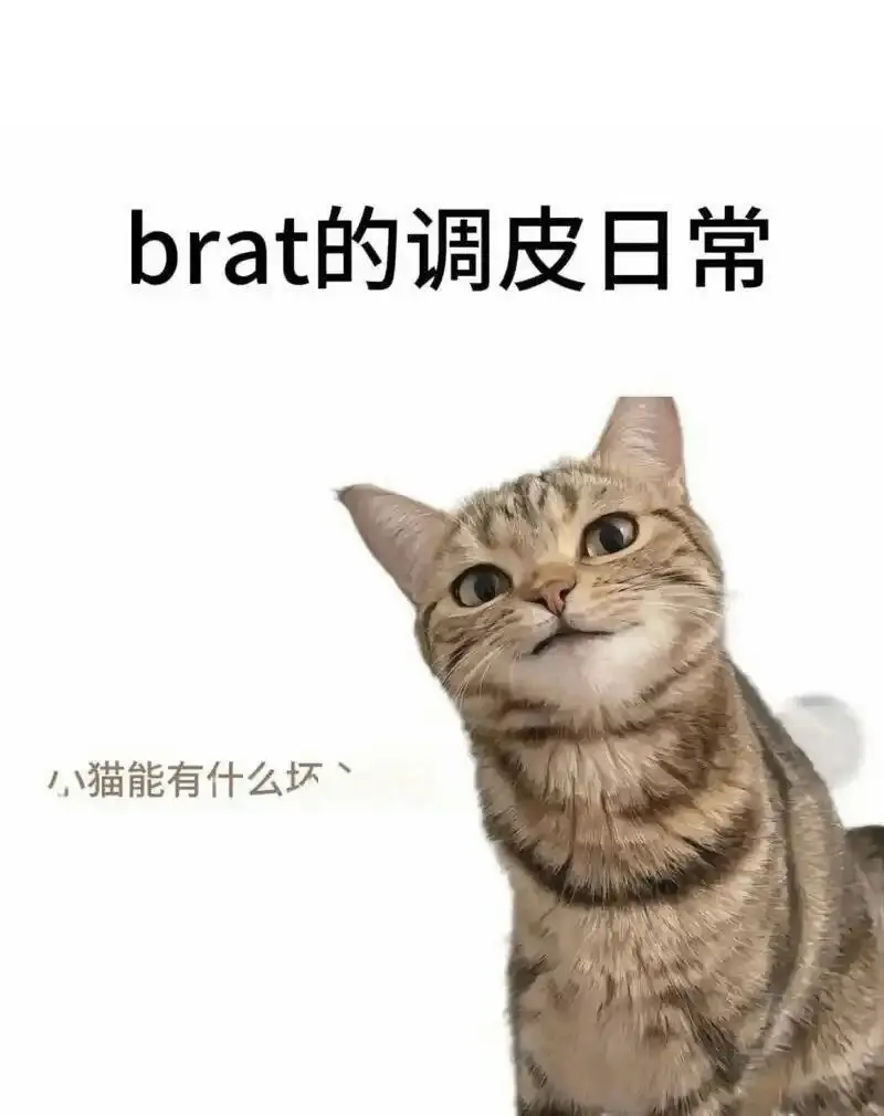西檬之家字母圈Switch是什么意思? 一