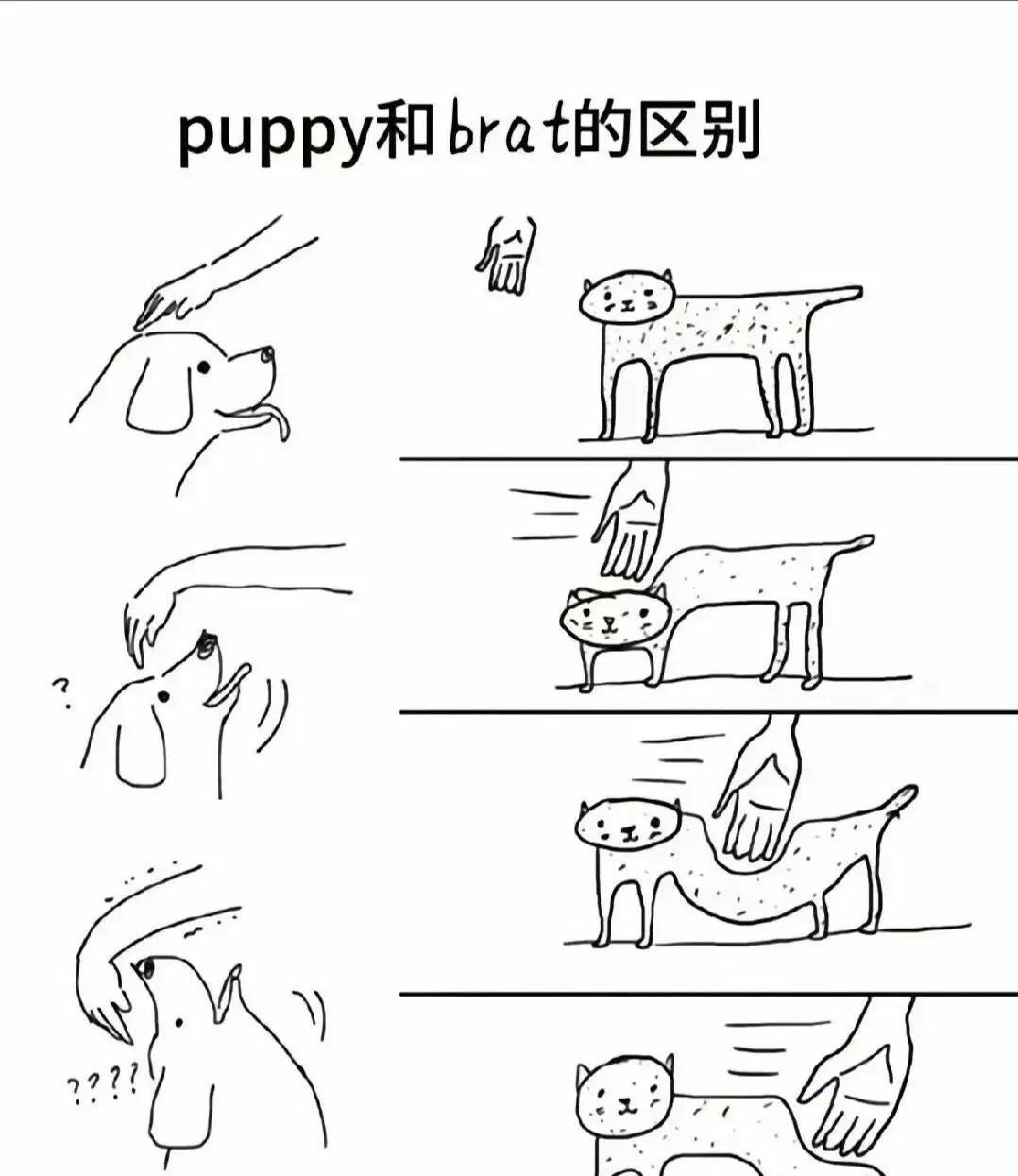 西檬之家TK是什么?字母圈新人入圈 一