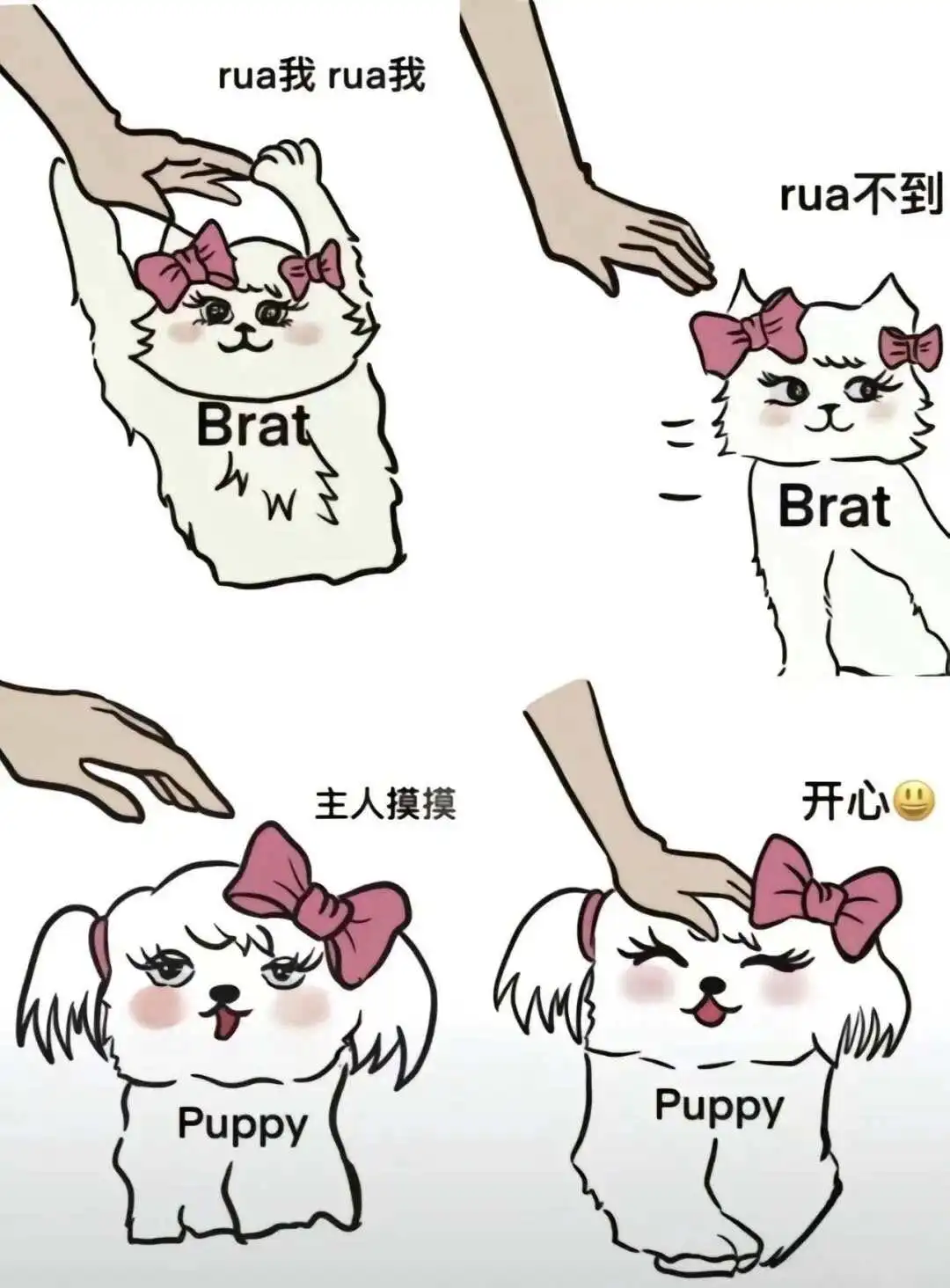 西檬之家字母圈大圈是什么?新人入圈必看 一